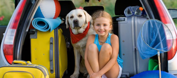 If you are like most people, summertime means vacation time. But should you leave your air conditioning on while you’re gone, or should you shut it down to save on energy costs? The answer is: it depends. Considering Some Factors Managing your cooling system while you are away depends on a few different factors. Turning […]