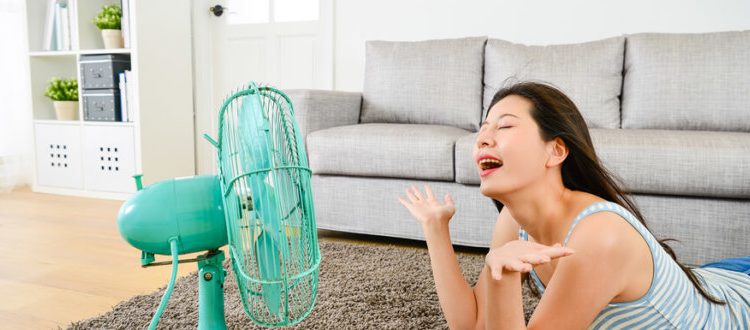 In the middle of summer, you may be feeling frustrated with regulating temperatures to keep you comfortable. Too hot. Too cold. You may find your thermostat getting a real workout and it is sure to show in your monthly energy bills. But our Philadelphia AC repair pros are here to offer some simple tips to […]